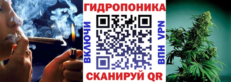 hydra как войти  Щигры  Бошки Шишки SATIVA & INDICA 